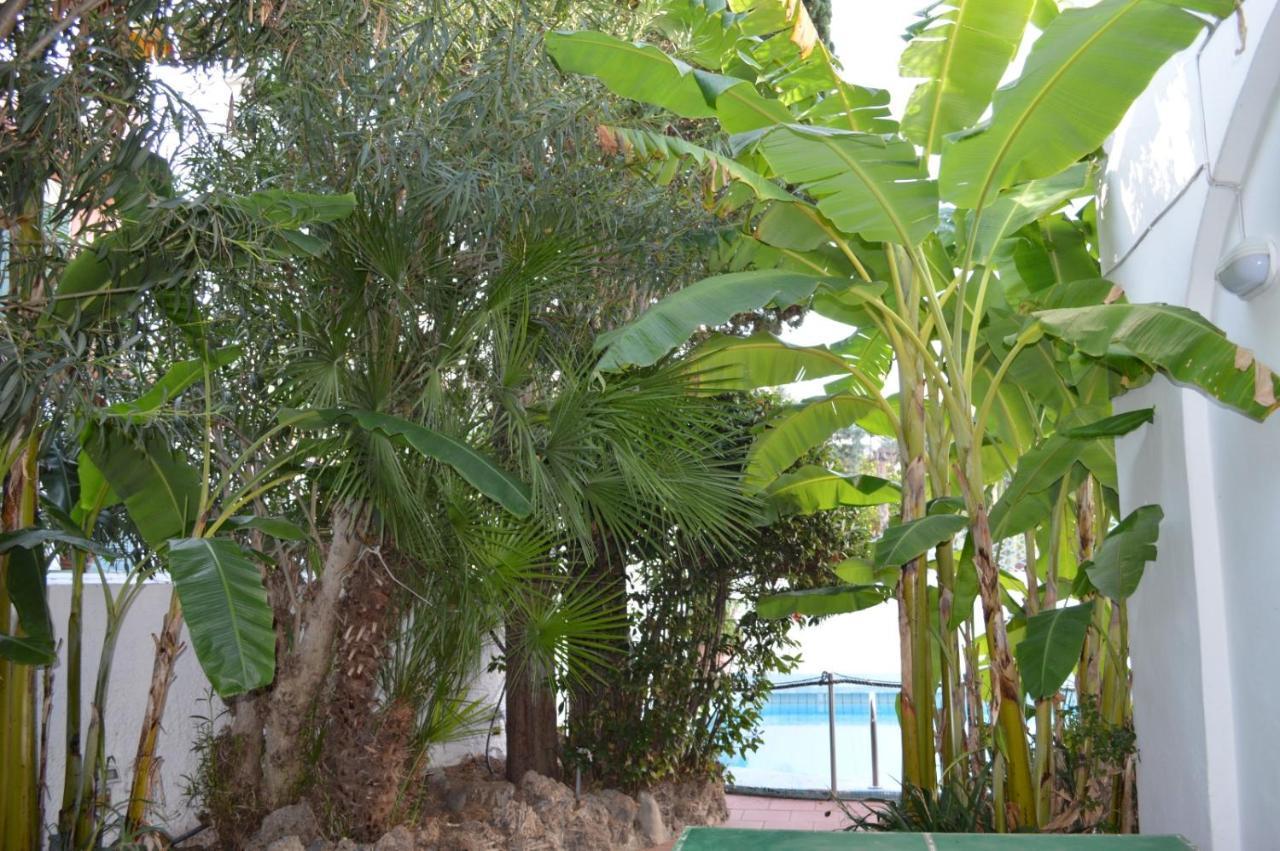 Il Kent Daire Ischia Dış mekan fotoğraf